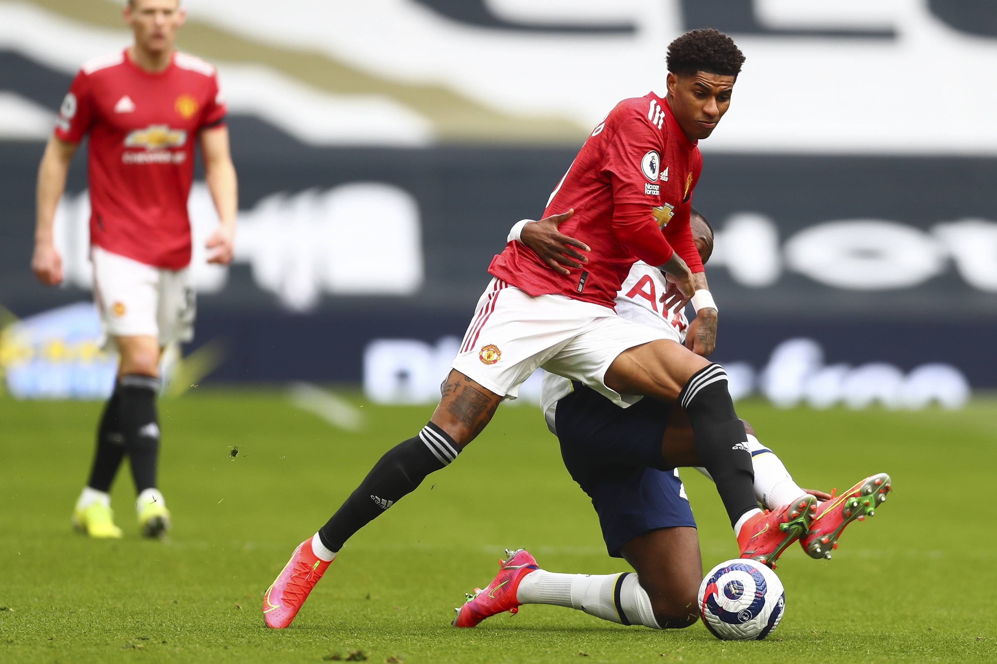 不同家庭的 不同家庭的