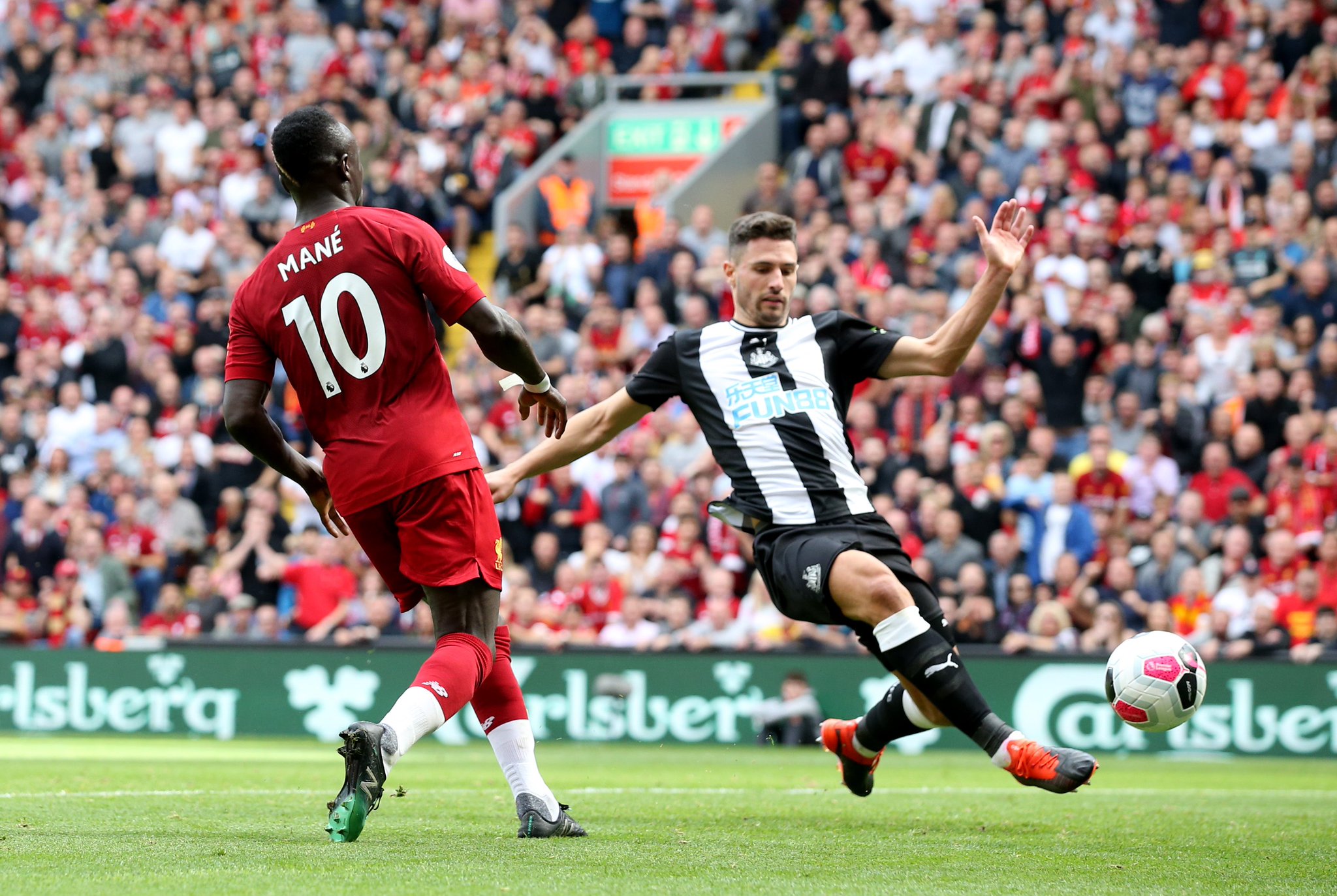 季命运揭晓 季命运揭晓